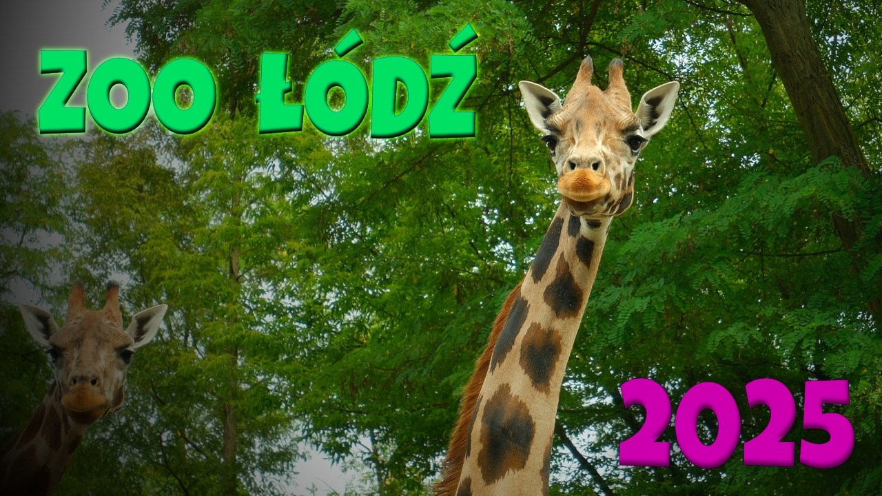 🇵🇱 ZOO ŁÓDŹ - ORIENTARIUM 2025 - Co się zmieniło od otwarcia?
