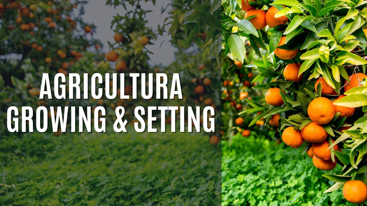 Nueva Agricultura Growing & Setting... El Futuro ya ha Llegado!!!