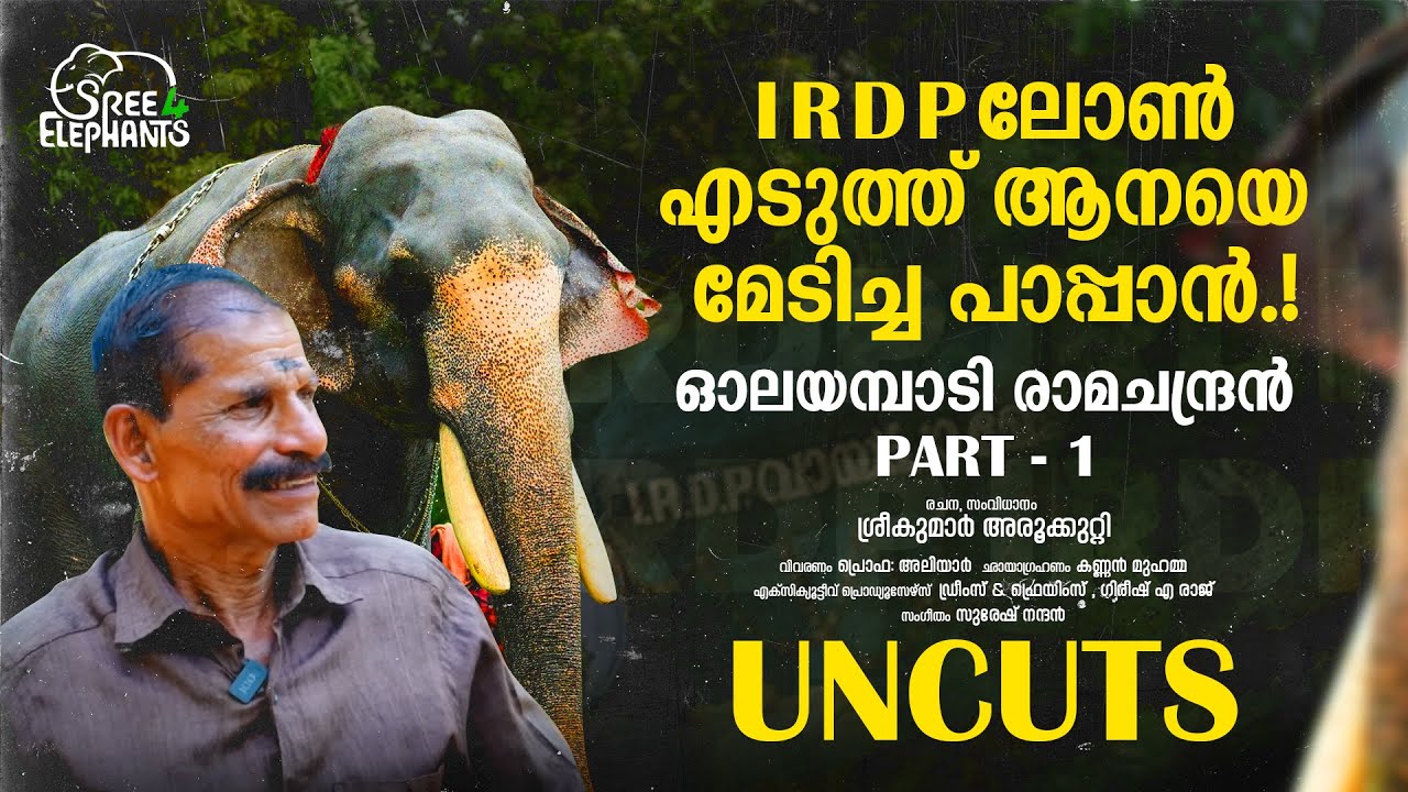 ബലൂൺ എടുക്കാൻ വന്ന കുട്ടിയെ രക്ഷിക്കാൻ നോക്കിയതാ... പക്ഷേ ആന മേലേക്ക് വീണു കഴിഞ്ഞു...!