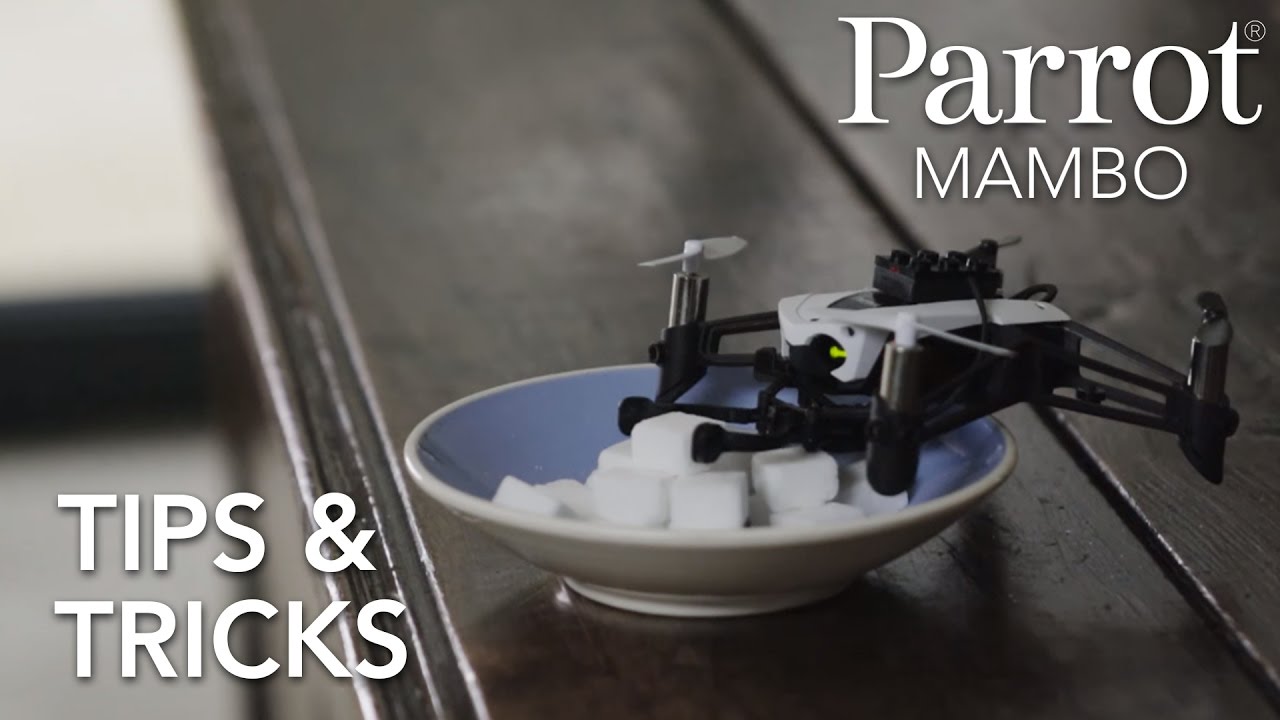 Parrot Minidrones - MAMBO - Tutorial #3 : Tips & Tricks