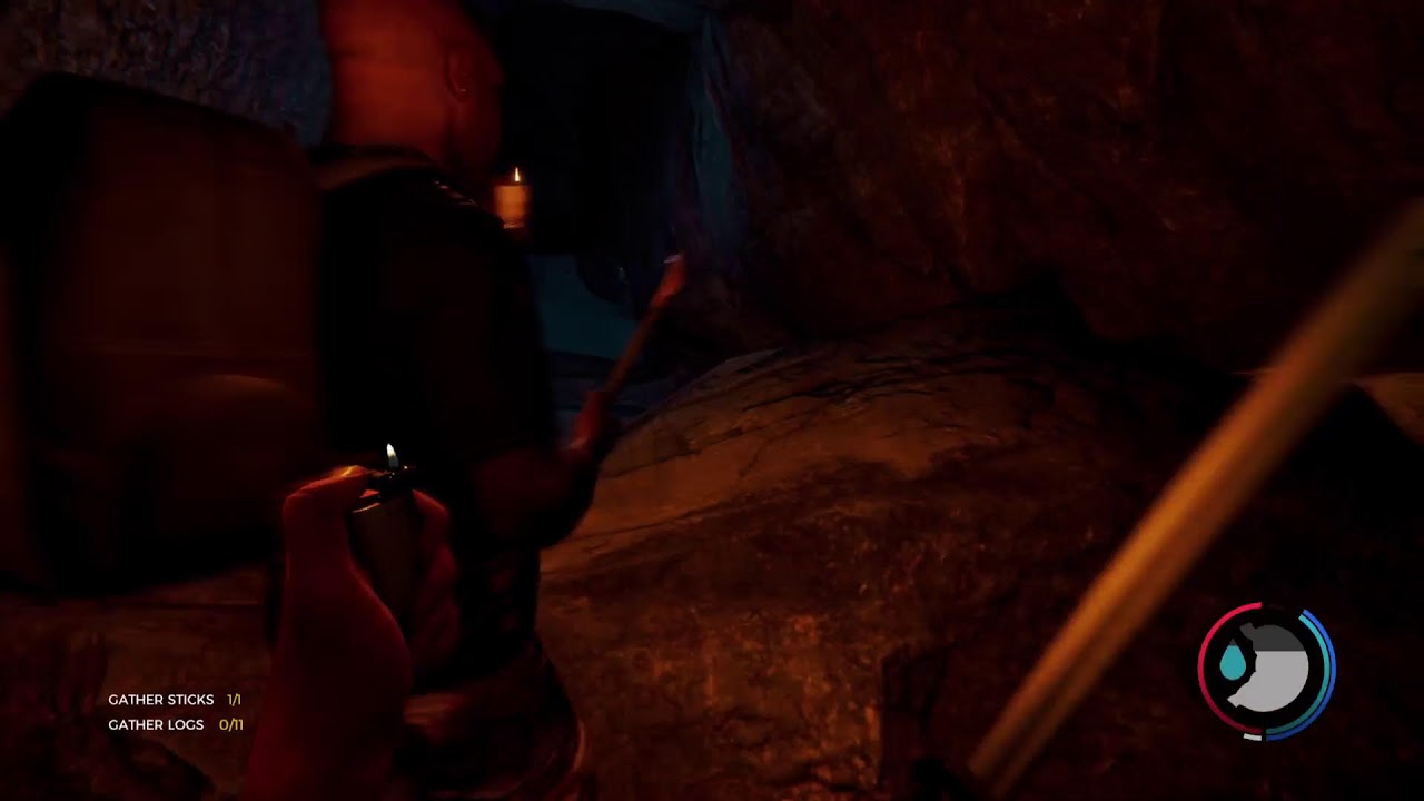 The Forest. New Players Co Op.