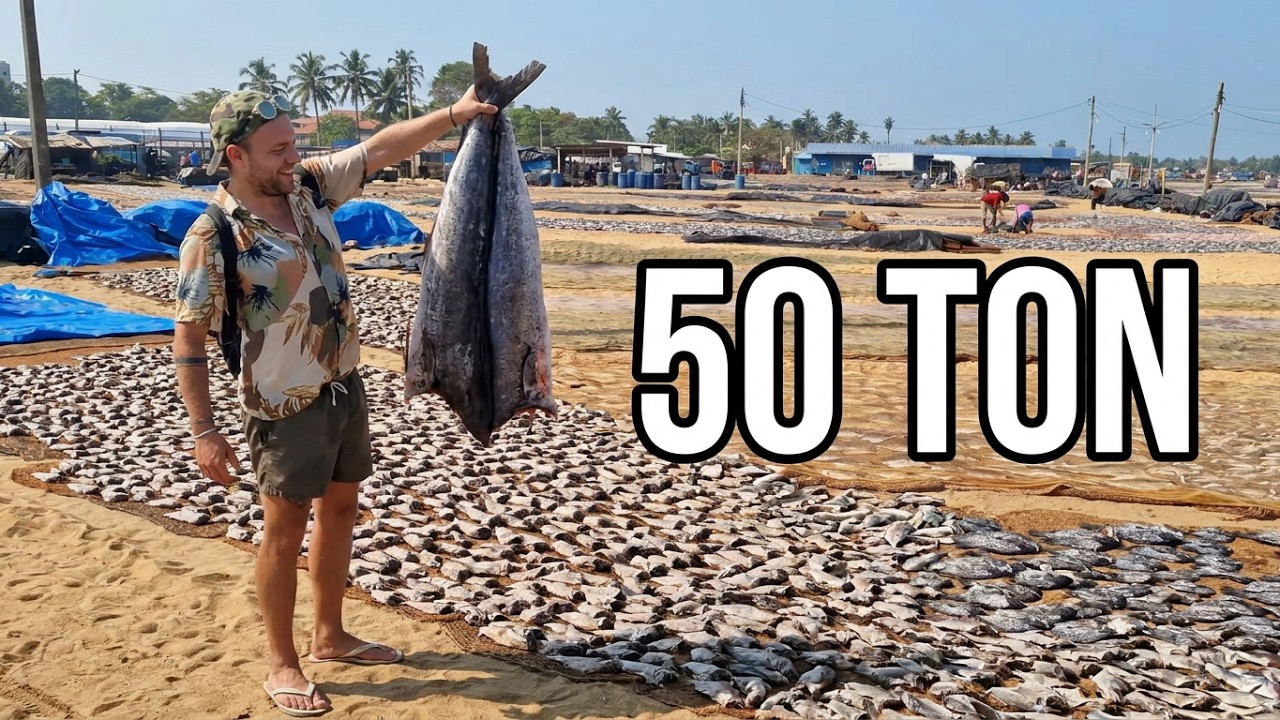 🇱🇰 #11 🦈REKINY, MARLINY I WIELE WIĘCEJ | DYWAN Z RYB NA ŚRODKU PLAŻY | Kolombo - Negombo, Sri Lanka