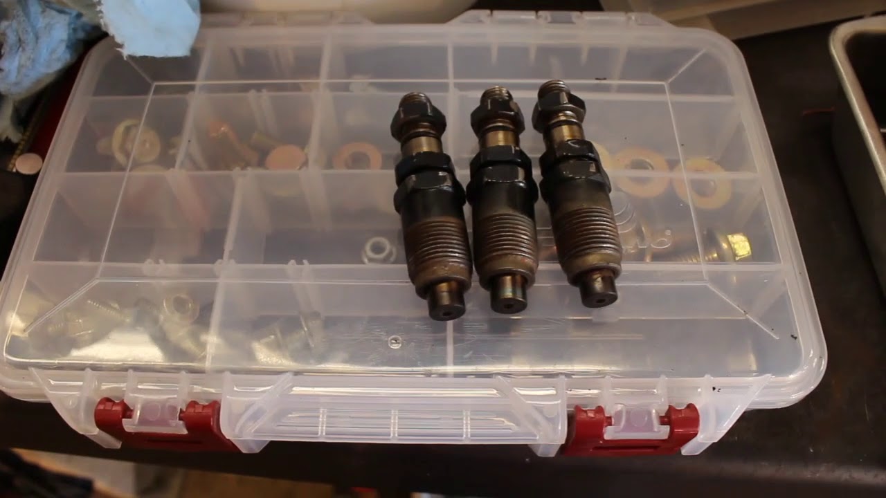Gator Project: Part 6
