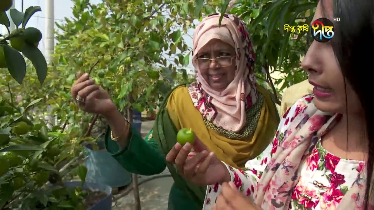 Deepto Krishi/দীপ্ত কৃষি - ছাদের সবুজে হাস্যজ্বল শহর - ছাদবাগান