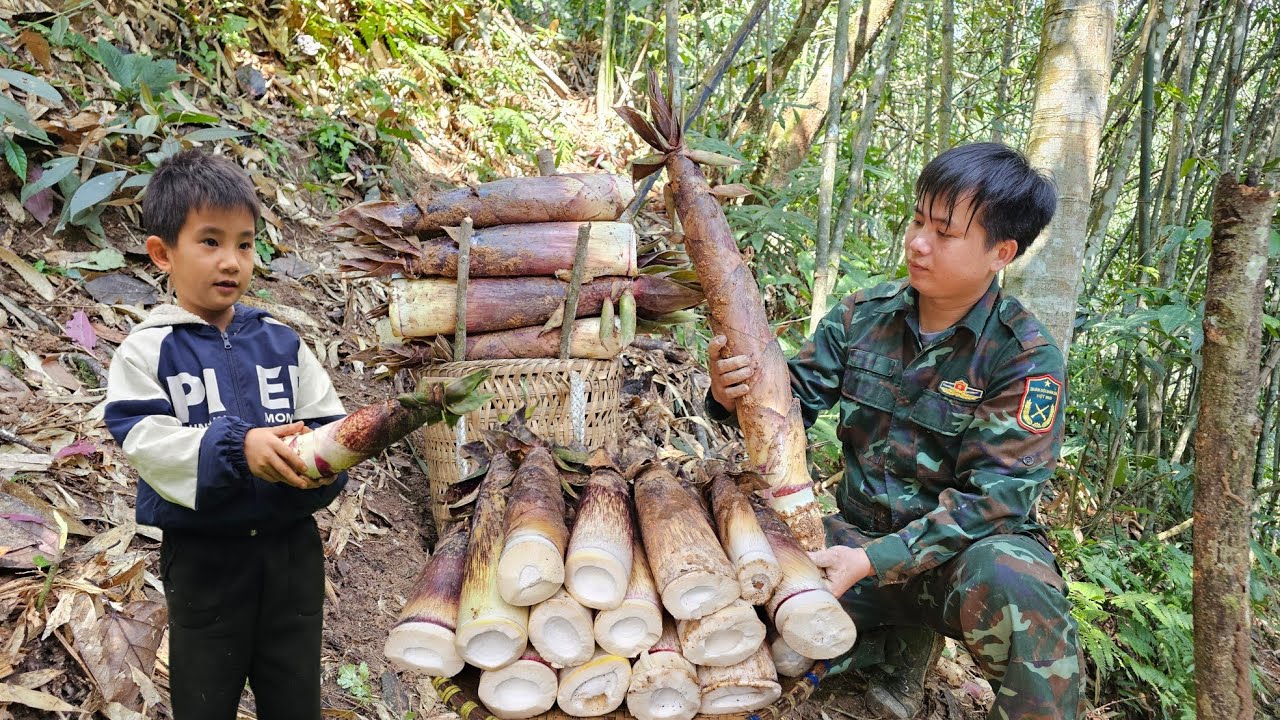 Harvesting Bamboo Shoots Underground Go to the market sell /Trieu Khang