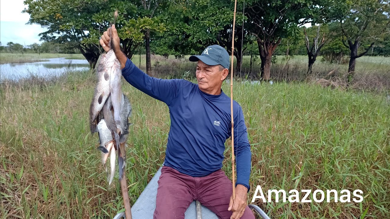 Pesquei trairão e variedades de peixes no igapó do Amazônia 