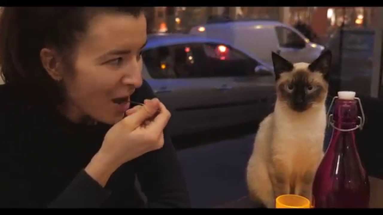Le Café des Chats, ep. 2: Bastille