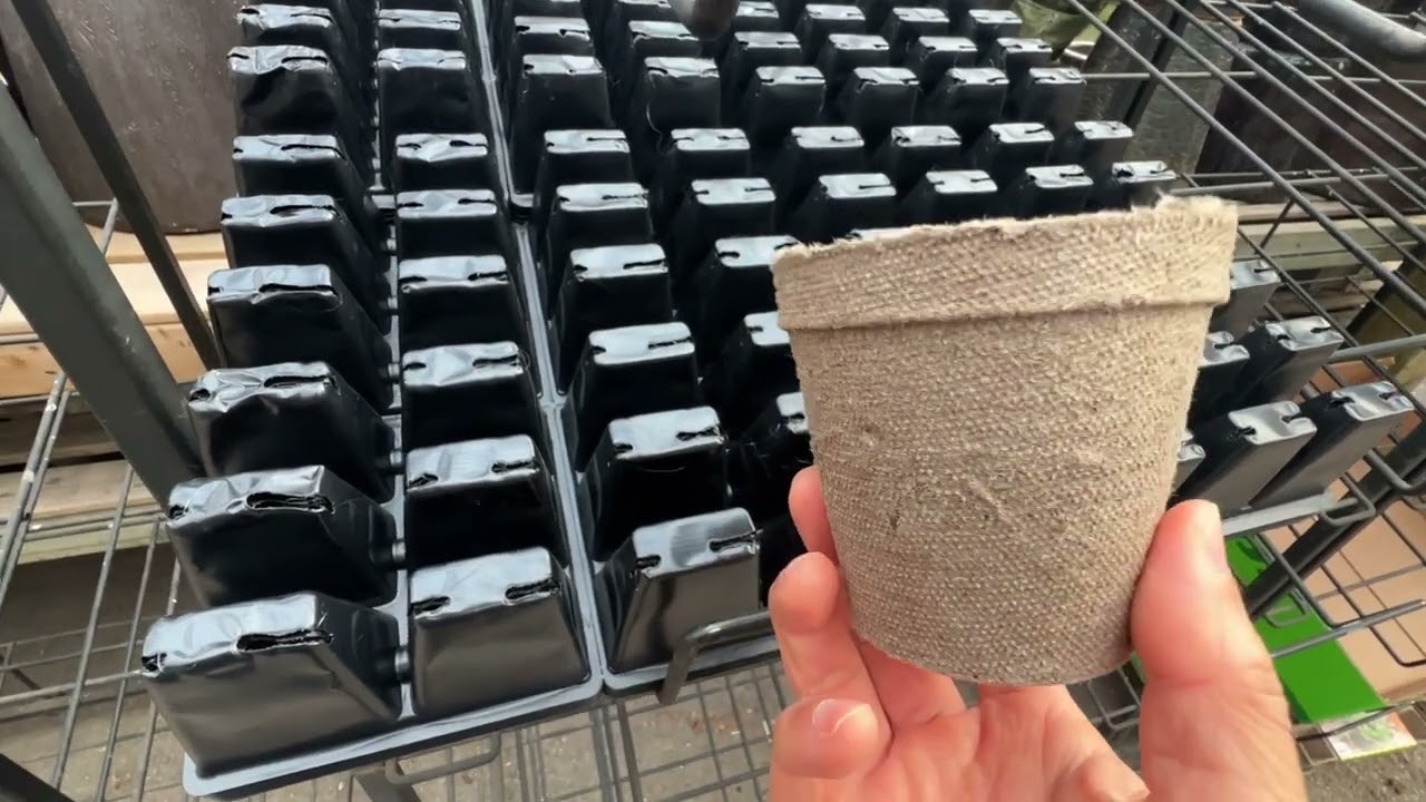 种子育苗：可以降解的育苗盒 - 胡思乱想