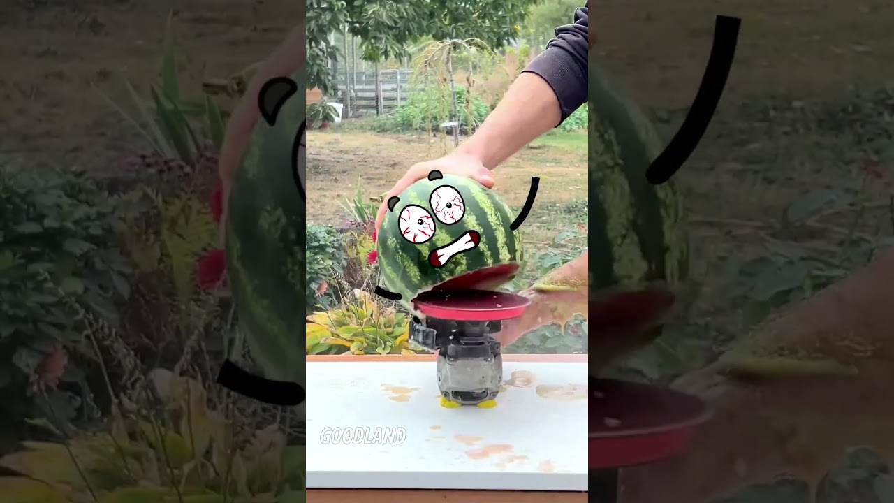 Watermelon Takes on Grinding Machine in EPIC Battle!