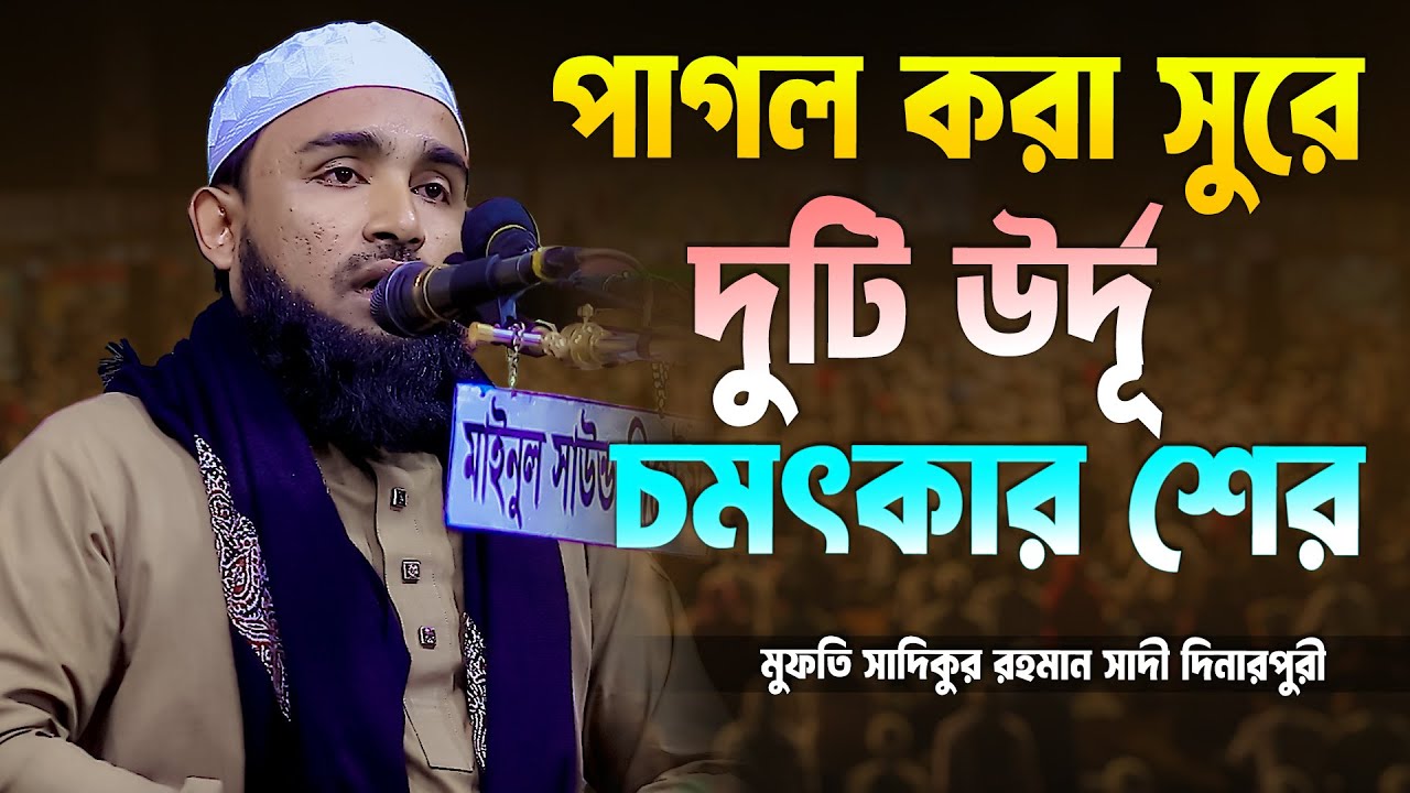 পাগল করা সুরে দুটি উর্দূ চমৎকার শের ৷ মুফতি সাদিকুর রহমান সাদী দিনারপুরী