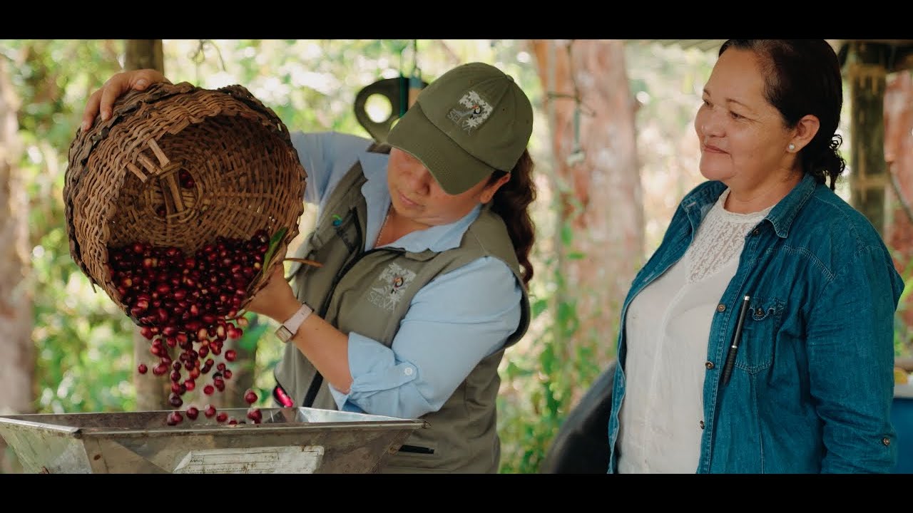 Productos sostenibles: el café y cacao del Valle de Tenza