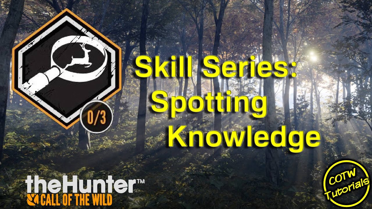 Spotting Knowledge Skill