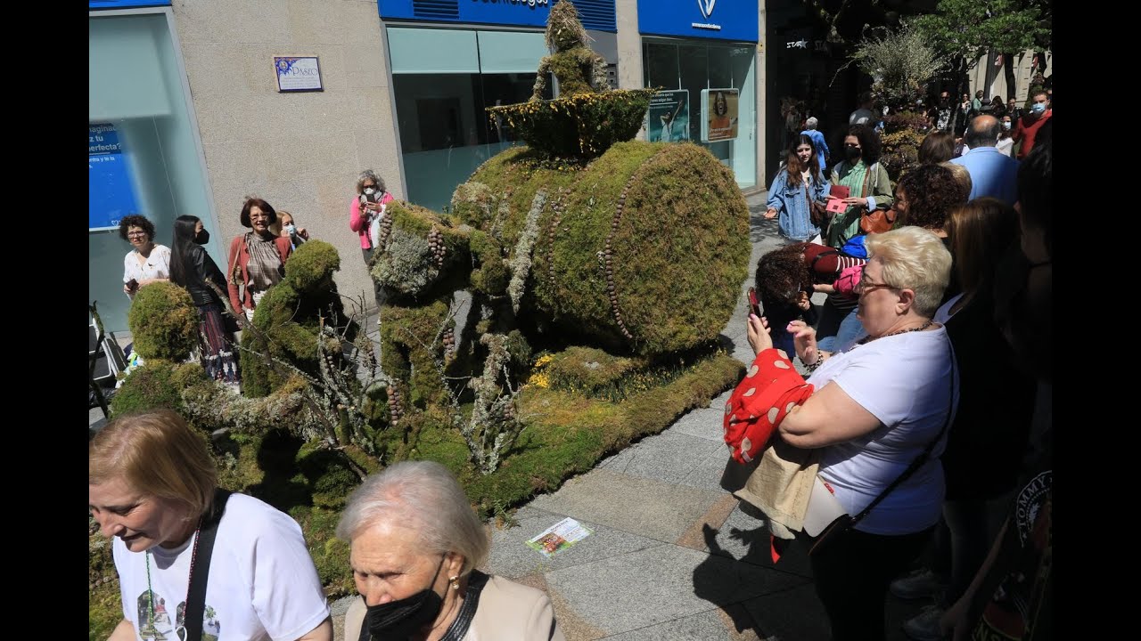 Os Maios vuelven al centro de Ourense