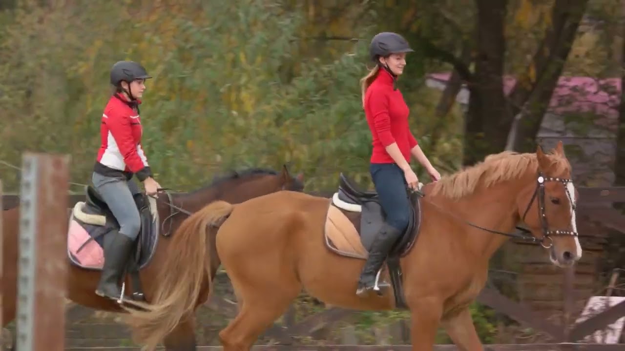 Equestrian Travel: Horseback Riding Destinations Around the World