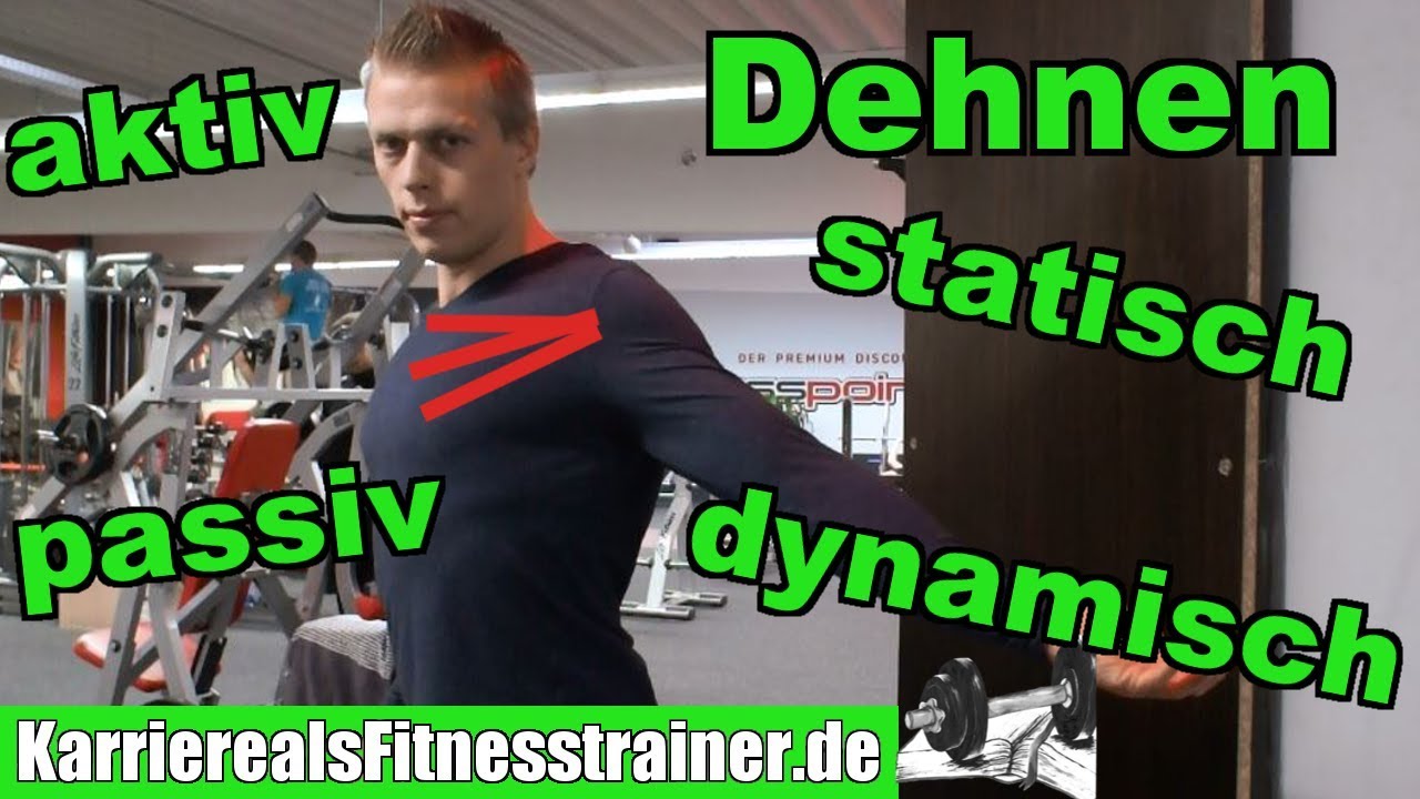 Dehnen & Beweglichkeit! Überblick & Mythos über verkürzte Muskeln aufgelöst!