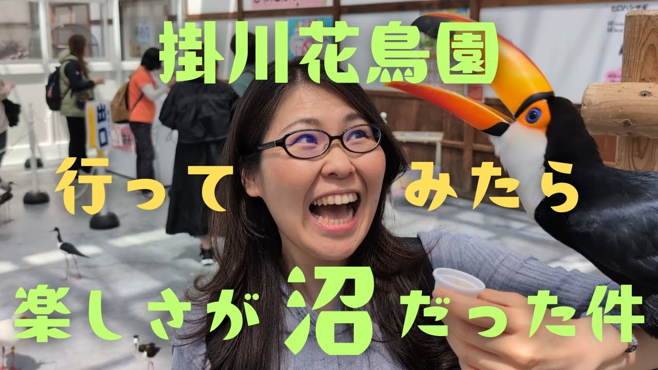 鳥に囲まれる非日常体験が想像以上だった！ハシビロコウの貴重映像あり📸@掛川花鳥園