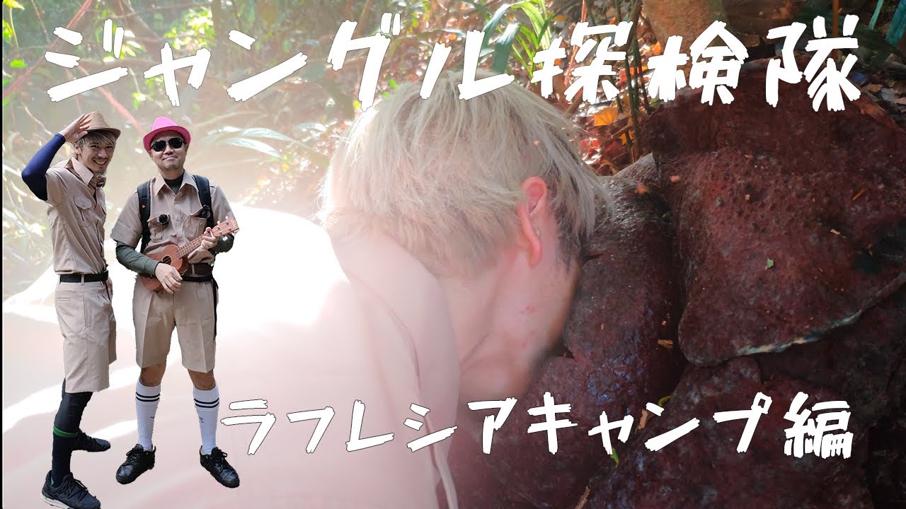 ラフレシア探検からのジャングルキャンプ！ジャングルで一晩過ごしてみた【Our Jungle House | スラタニ カオソック国立公園】