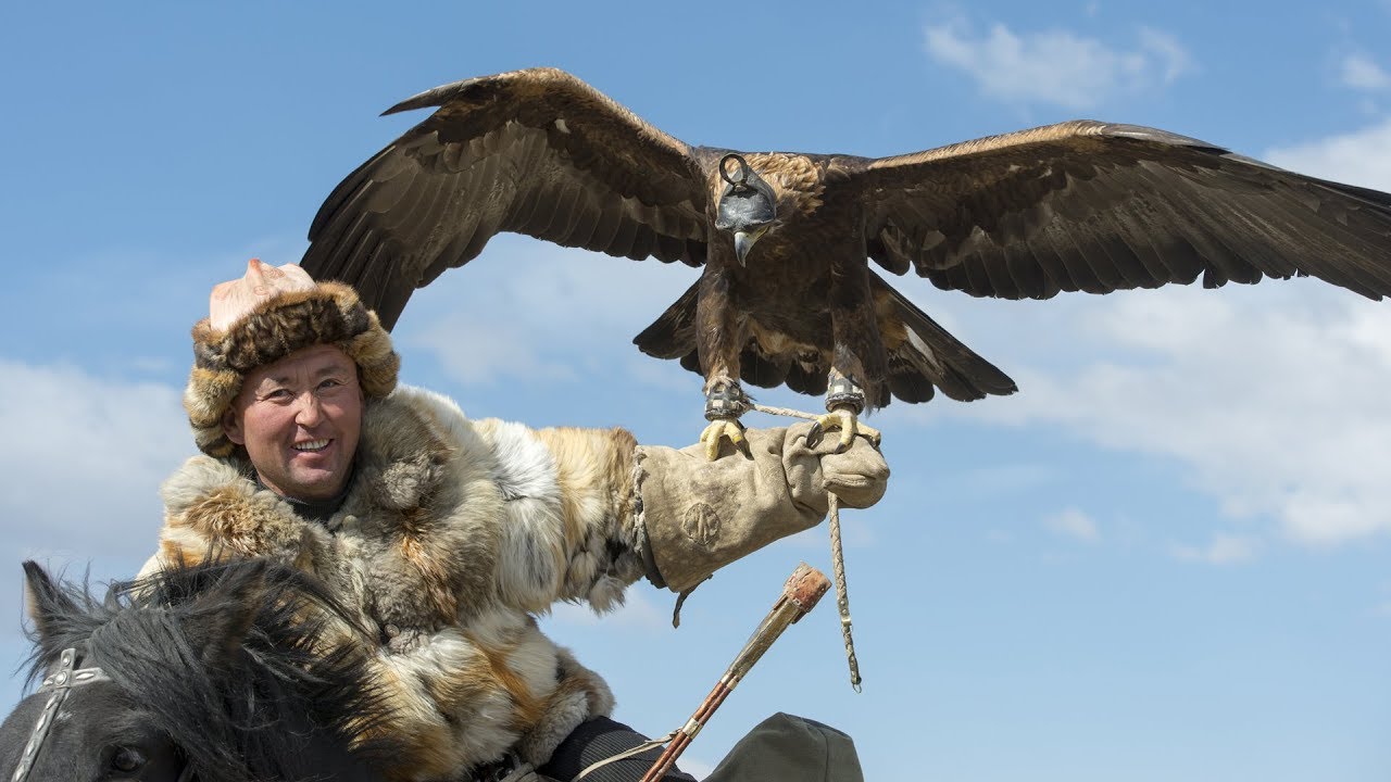 Il dresse un aigle pour chasser à sa place - ZAPPING NOMADE
