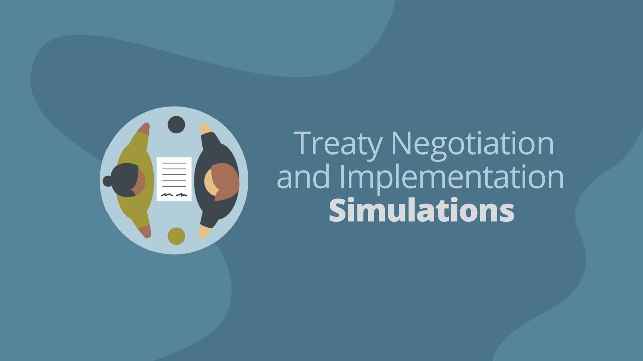 e01. Treaty Simulation Explainer