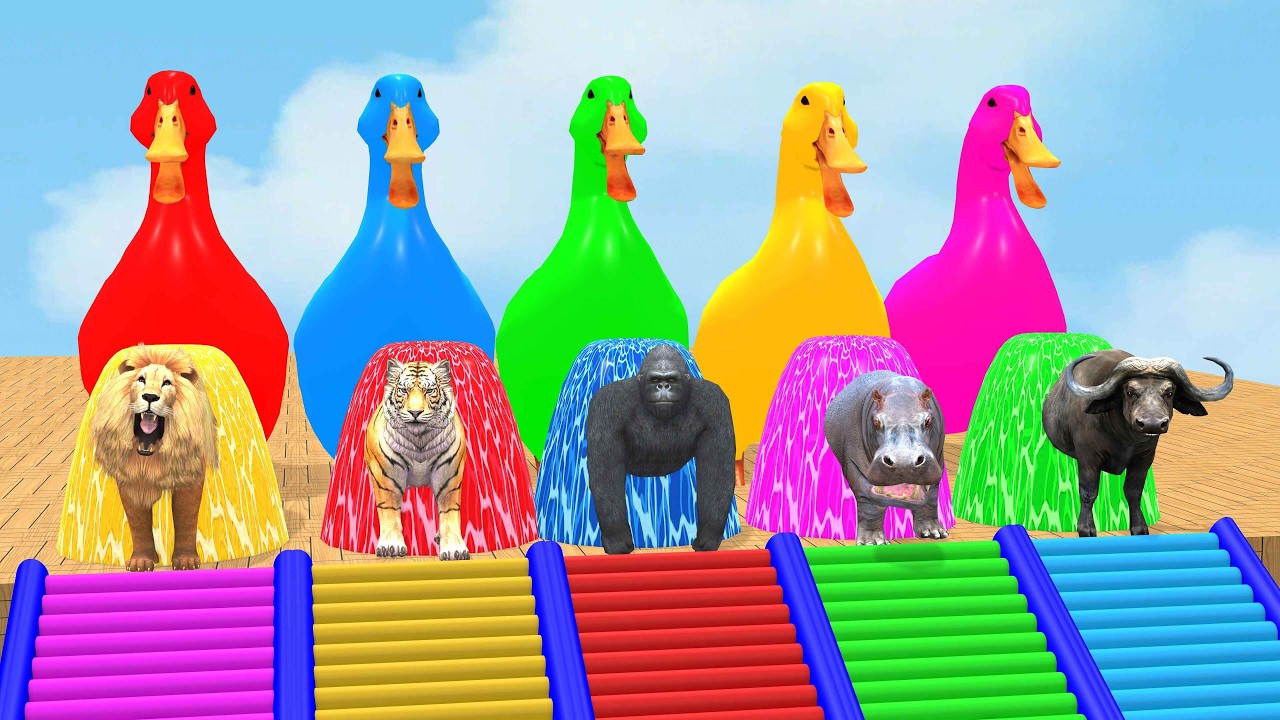 Long Slide Game With Cow Elephant Gorilla Hippopotamus Tiger 3d Animal Game Funny 3d AnimalsVideo