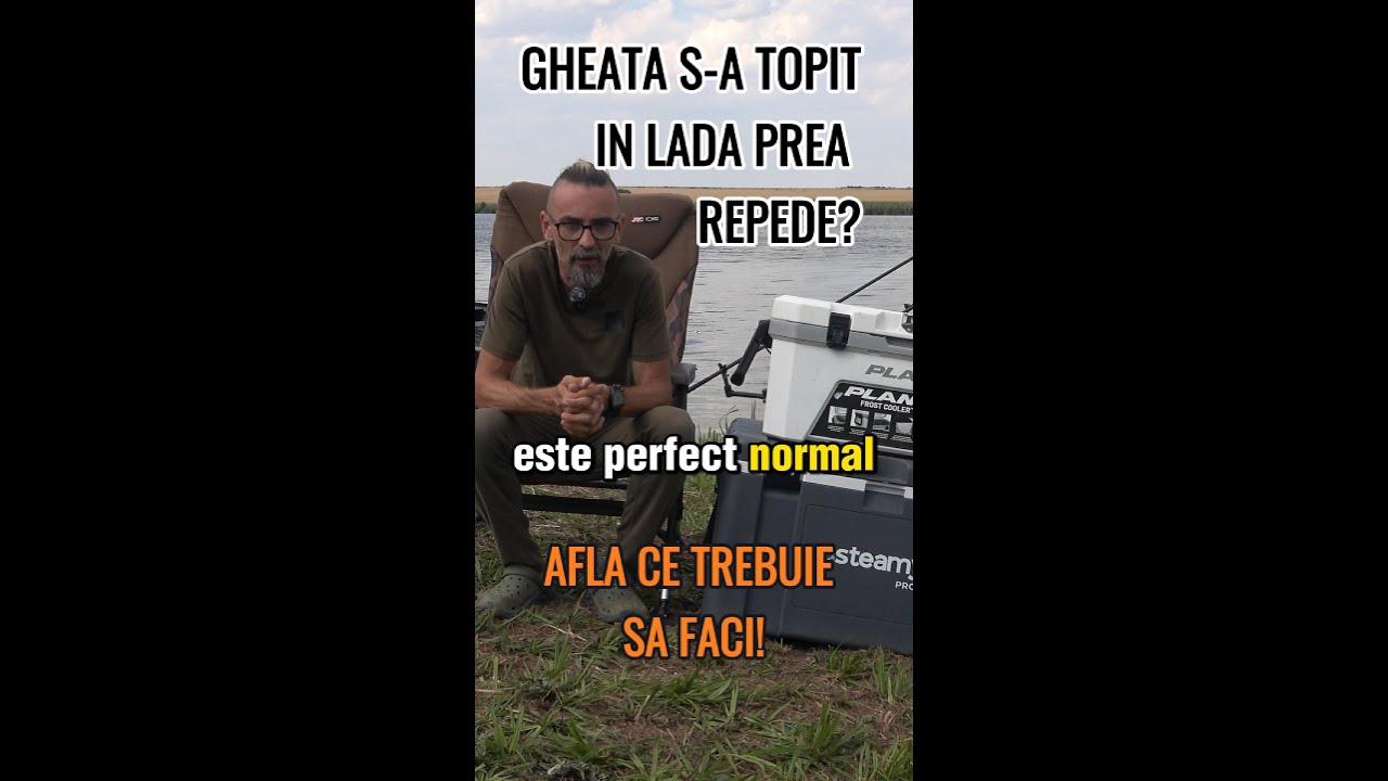 Lada frigorifica  tot ce trebuie sa sti!