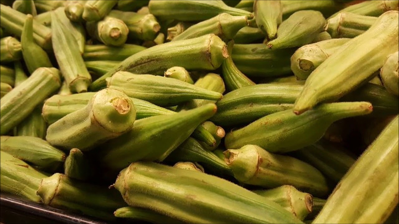 Piżmian jadalny Okra - Poradnik Ogrodowy #90