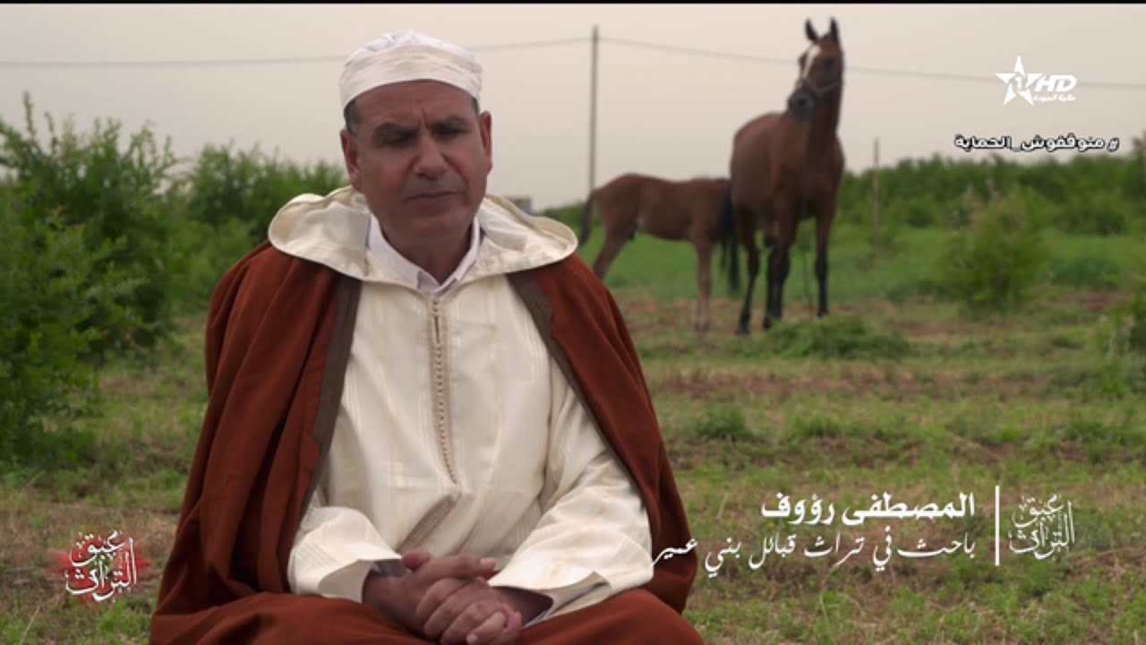 الوثائقي