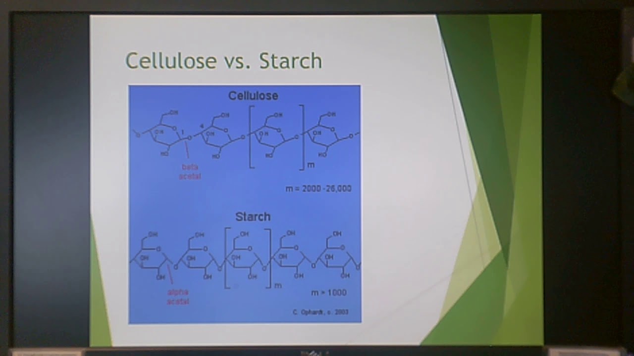 Cellulosics (21a )