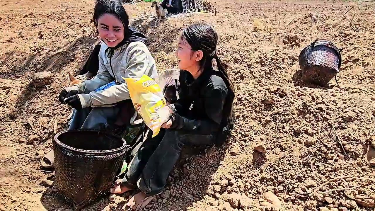 ล้มลุกคลุกคลาน กว่าจะมาถึง ที่ปลูกมันน้องใจดี 21 กุมภาพันธ์ ค.ศ. 2026