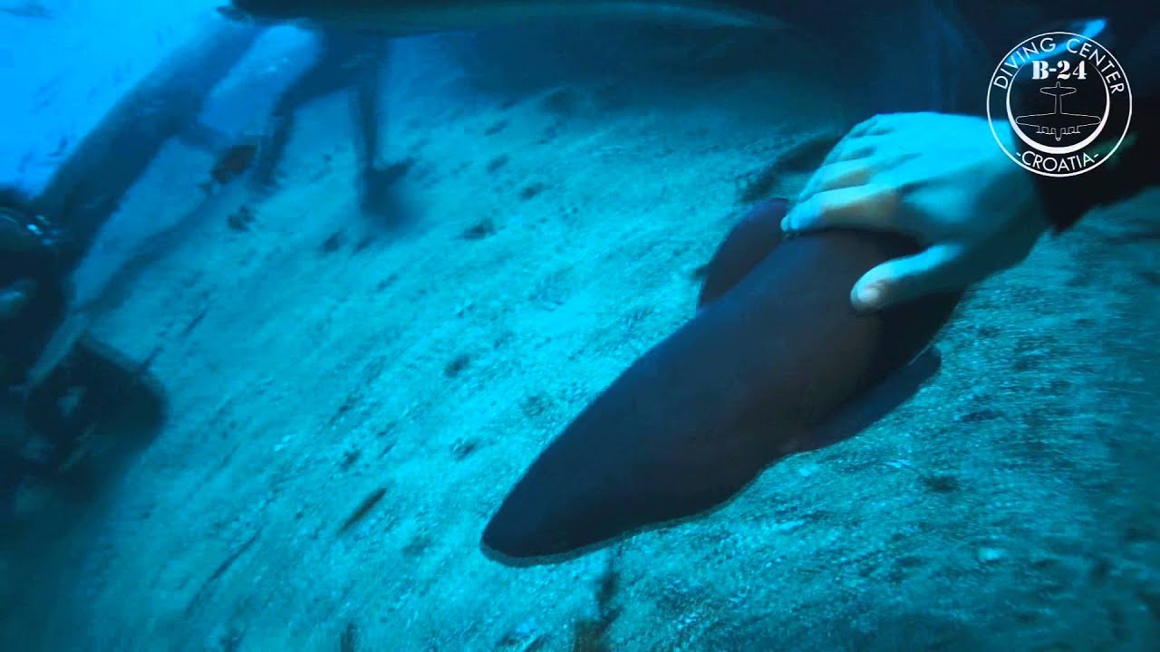 Wreck teti / B-24 diving center