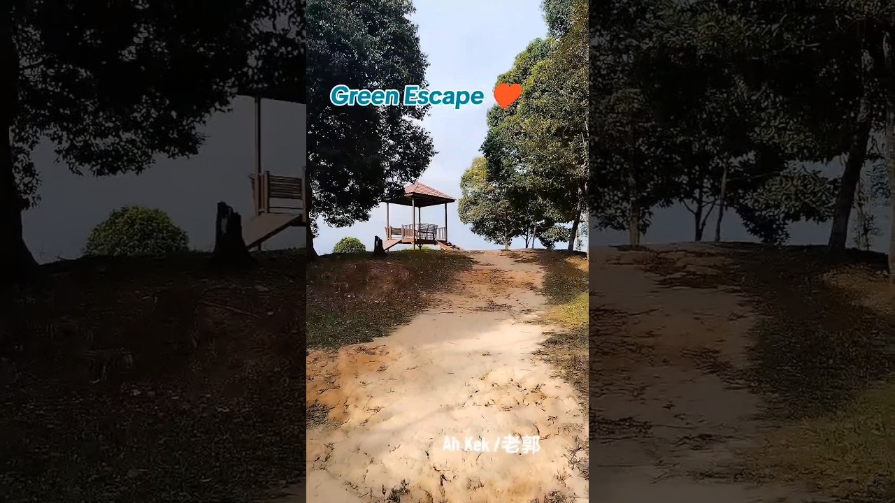 Green Escape &hearts;️#greenescape #nature #relax #hiking #goodplacetovisit #familybonding #shorts