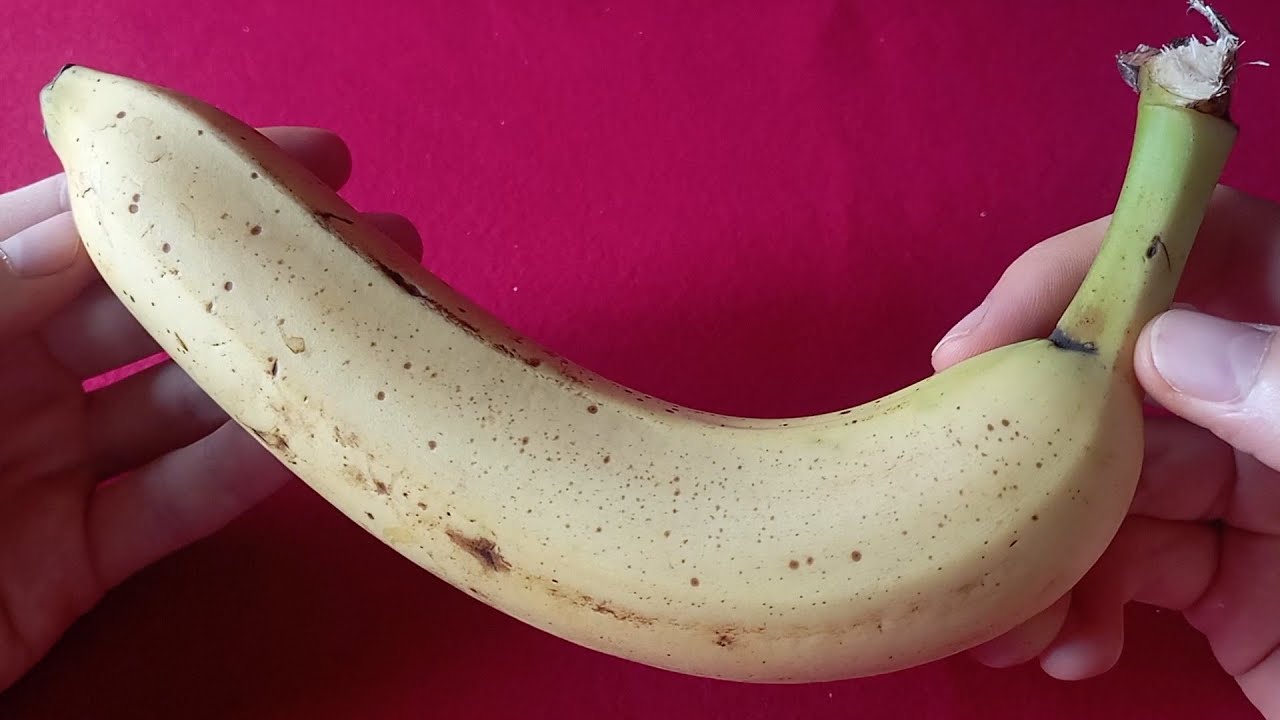 Banana Cavendish | Catando frutas 🍌🍉