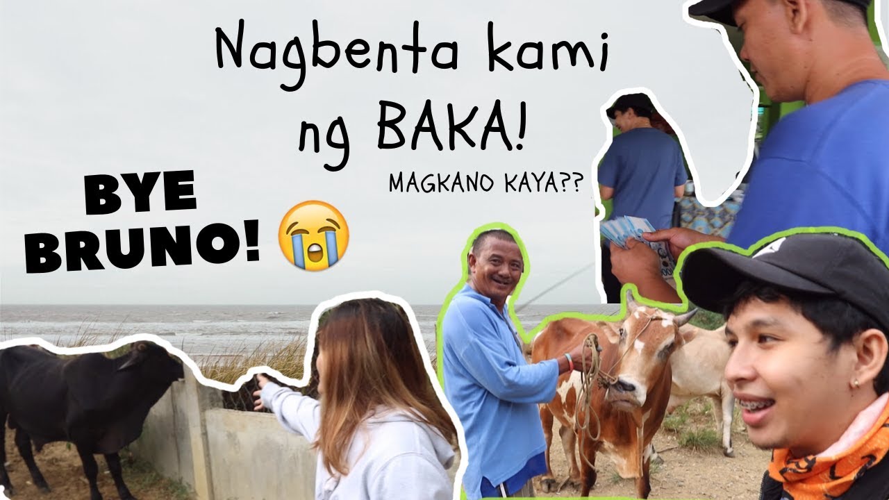 First time sa LIVESTOCK MARKET | BARILI CEBU | livestock philippines | Motovlog | Mhorvell