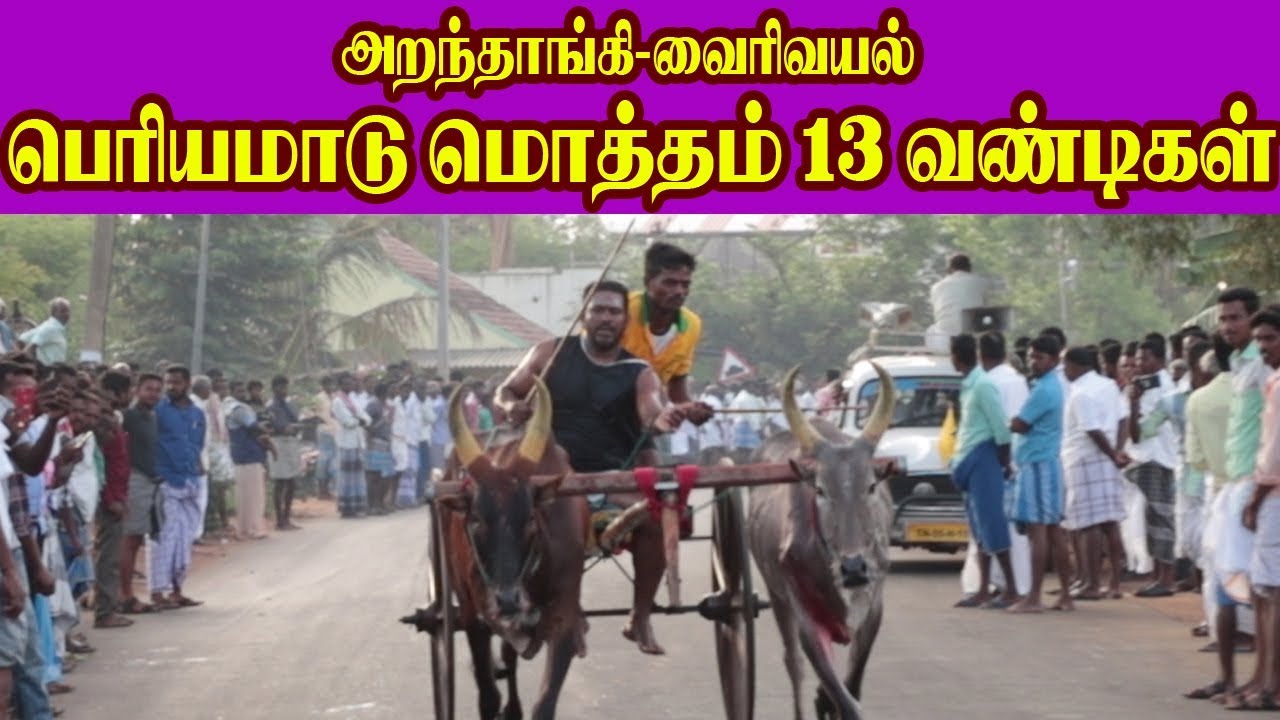 பெரியமாடு -வைரிவயல்-24.04.2019-Periyamaadu Vairivayal Amutham Studio