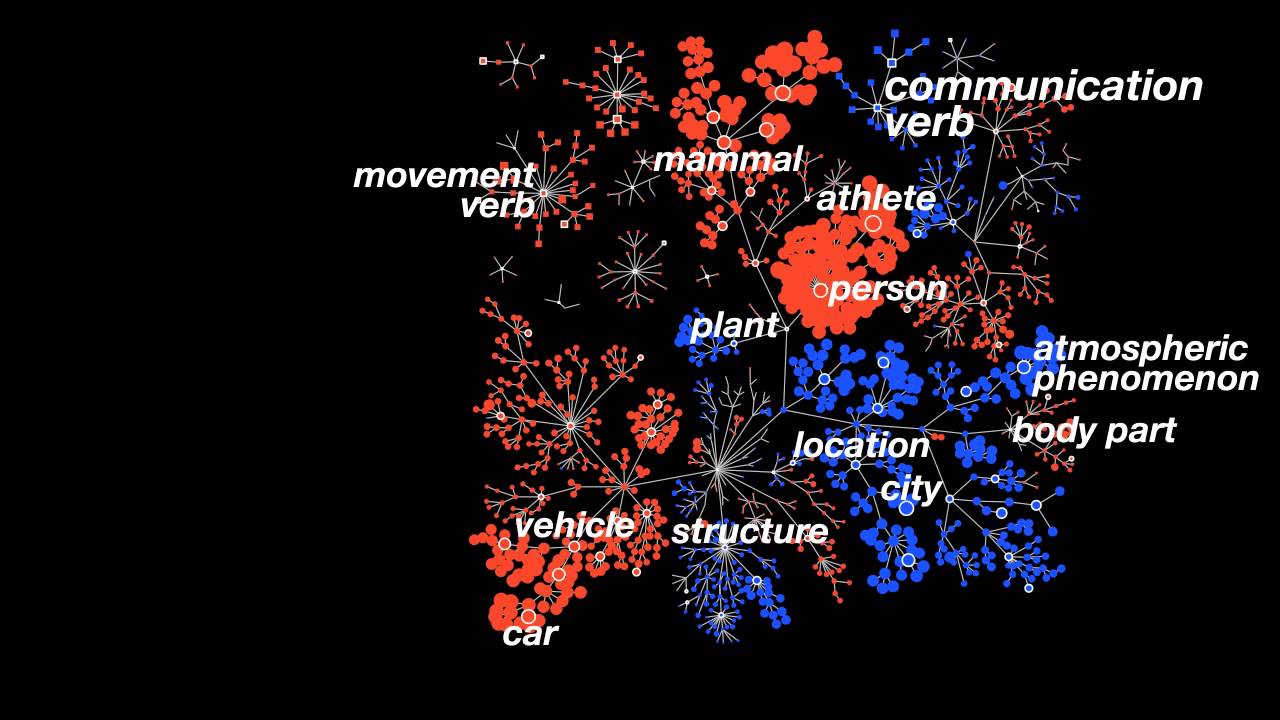 How The Brain Represents Objects and Actions Spatially