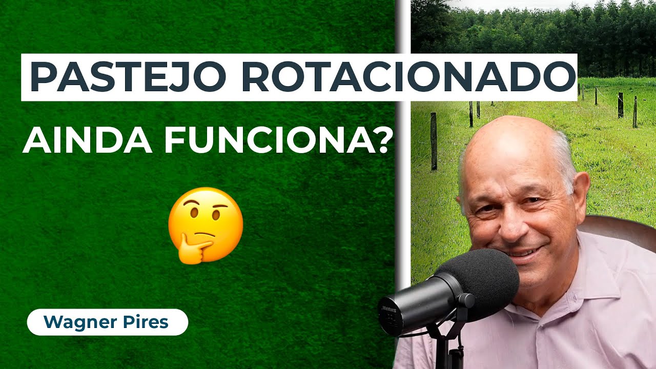 Pastejo Rotacionado: O Segredo para Maximizar seus Lucros!