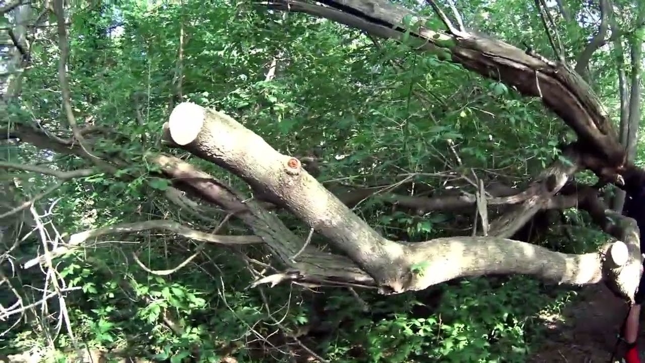 Warnimont Park   Part 3