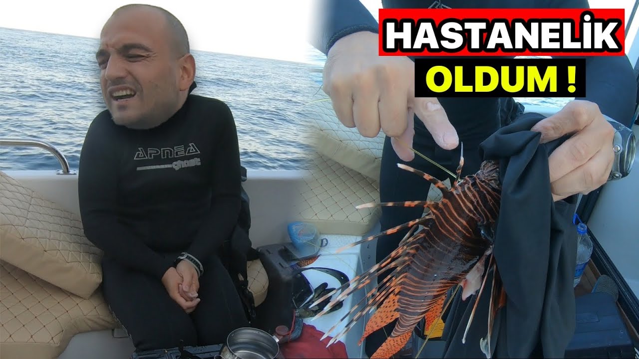 Elimi Denizin EN ZEHİRLİ BALIĞI Soktu... Saatlerce Kıvrandım | Batan Gemiye Dalış