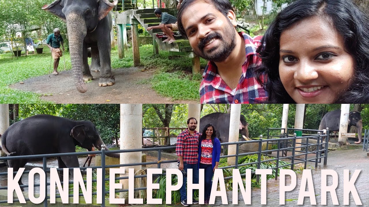 KONNI ELEPHANT PARK || TRAVEL VLOG || RUBI AND EJAZ