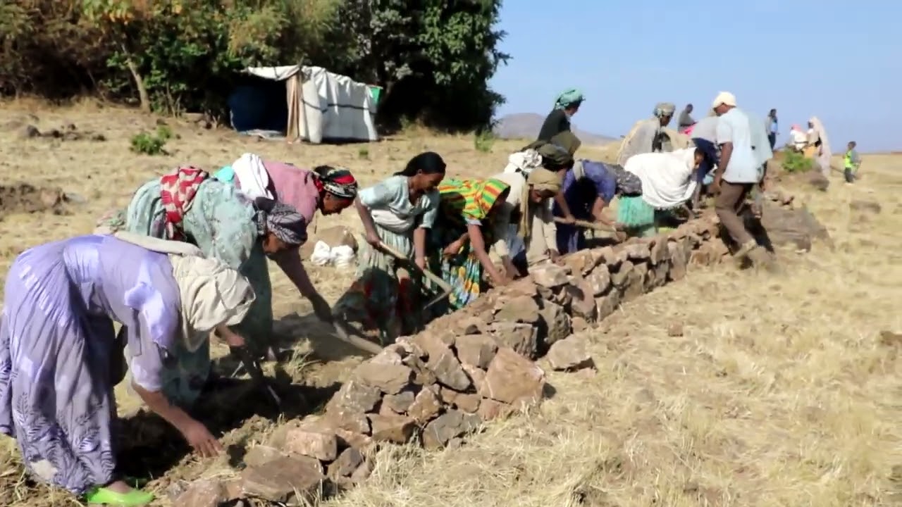 አቶ አድምጠው እባቡ የደባርቅ ወረዳ ግብርና ጽ/ቤት ሃላፊበደባርቅ ወረዳ በድብባህር ቀበሌ በተፈጥሮ ሃብት ልማትና ጥበቃ ስራ ላይ ተናገሩት