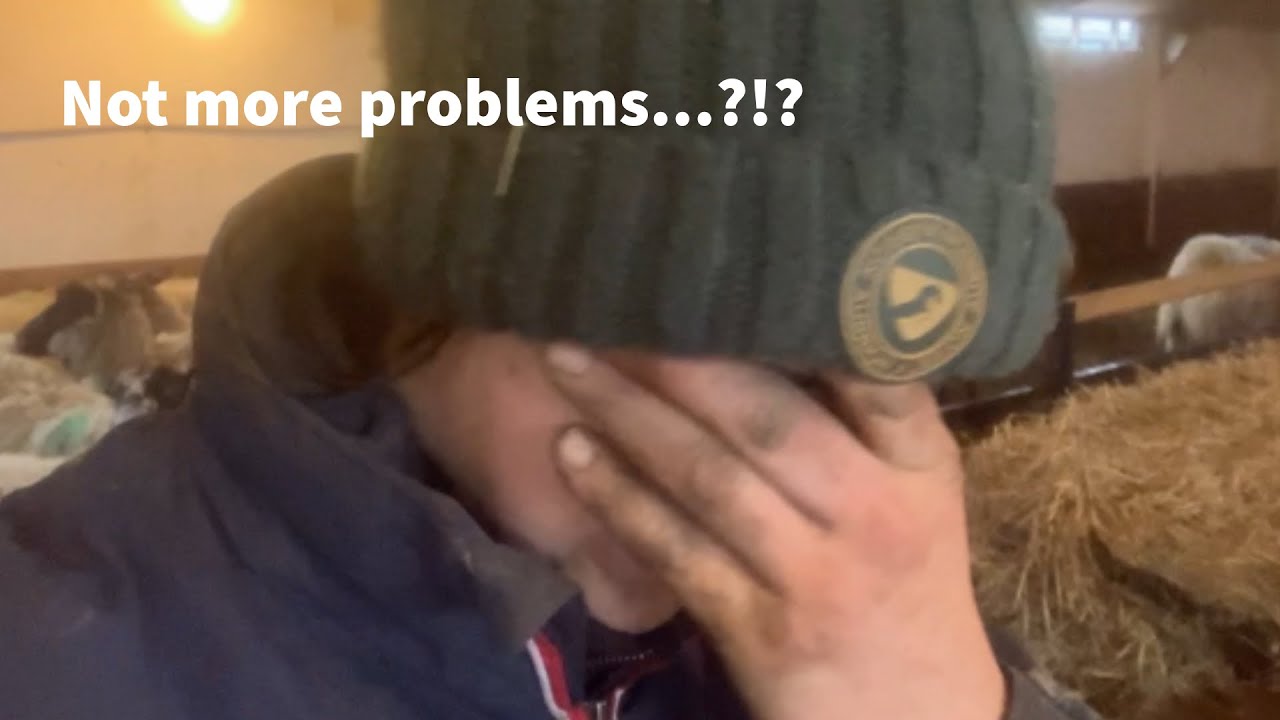 И никаких новых проблем?!