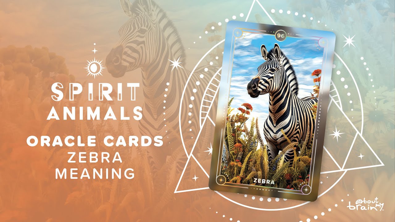 Zebra Spirit Animal | Symbolism & Meaning Explained