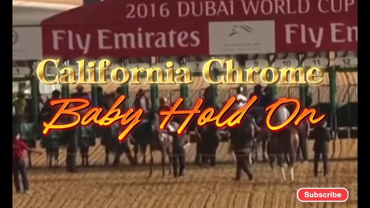 California Chrome - Baby Hold On (Dubai World Cup Sipping Saddle)