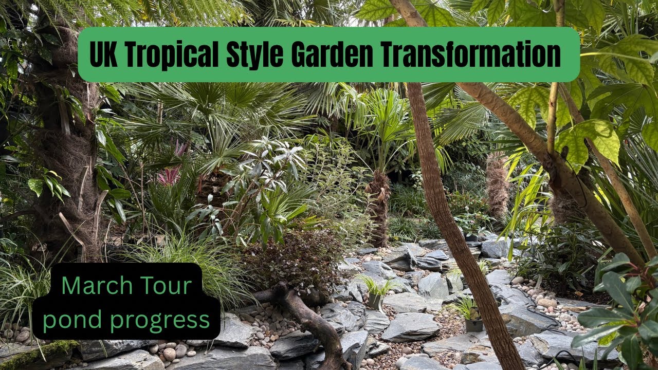 U.K. Tropical Garden Transformation. March tour and update. 