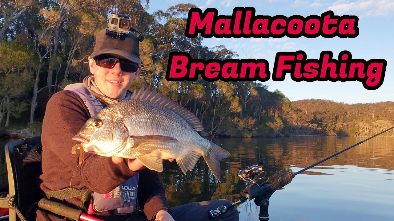 Mallacoota Bream Fishing