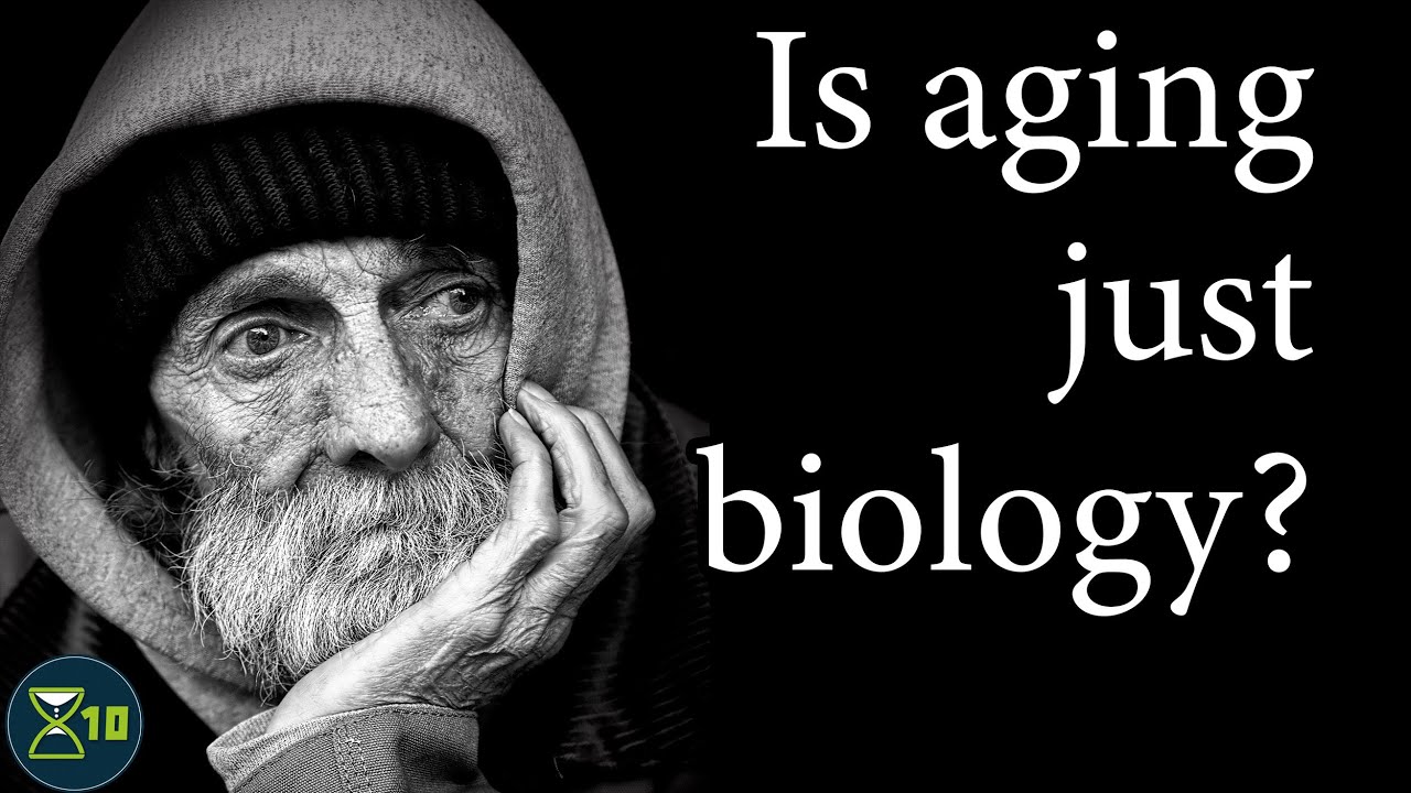 The Social Hallmarks Of Aging
