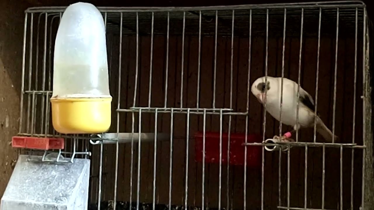 28 януари 2024 г.