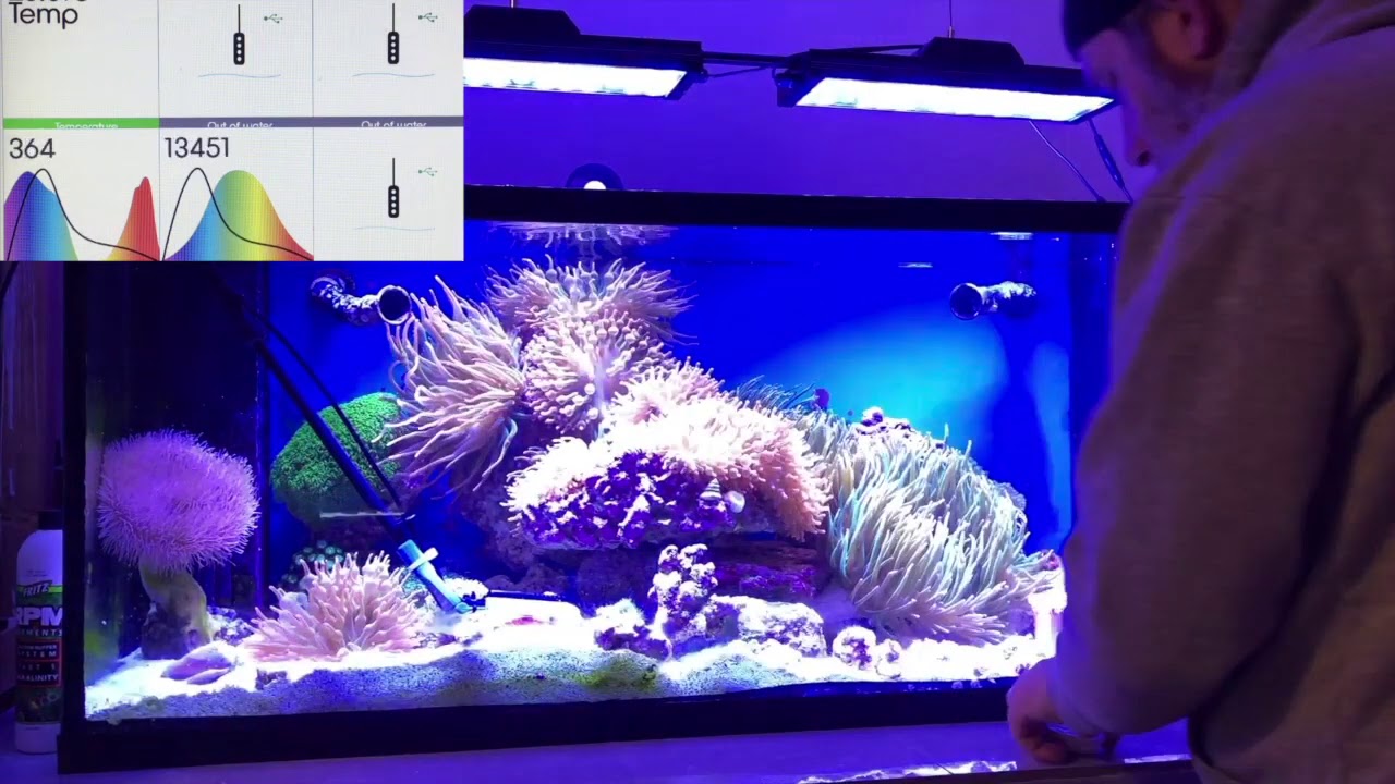 PopBloom Shannon40 Par Testing ( DSunY Company ) LED Aquarium Light Customer Feedback
