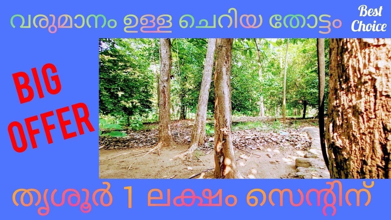 വൻ ലാഭത്തിൽ ജാതി, തേക്ക് പറമ്പ്💰ചെറിയ വീടും | Agriculture land for sale | thottam for sale | kerala