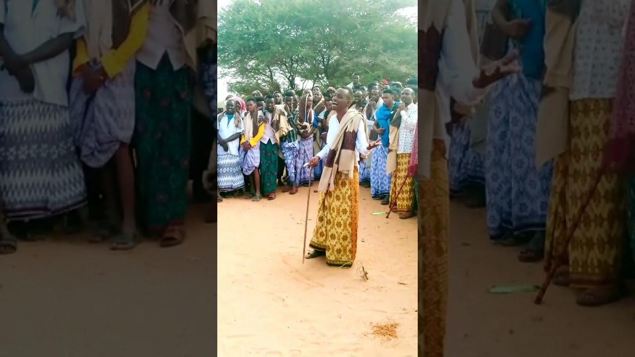 Shirib abgal cusman 